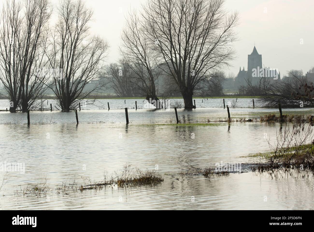 flooding in Beveren at the IJzer, Belgium, West Flanders, IJzerbroeken, Beveren aan de IJzer Stock Photo