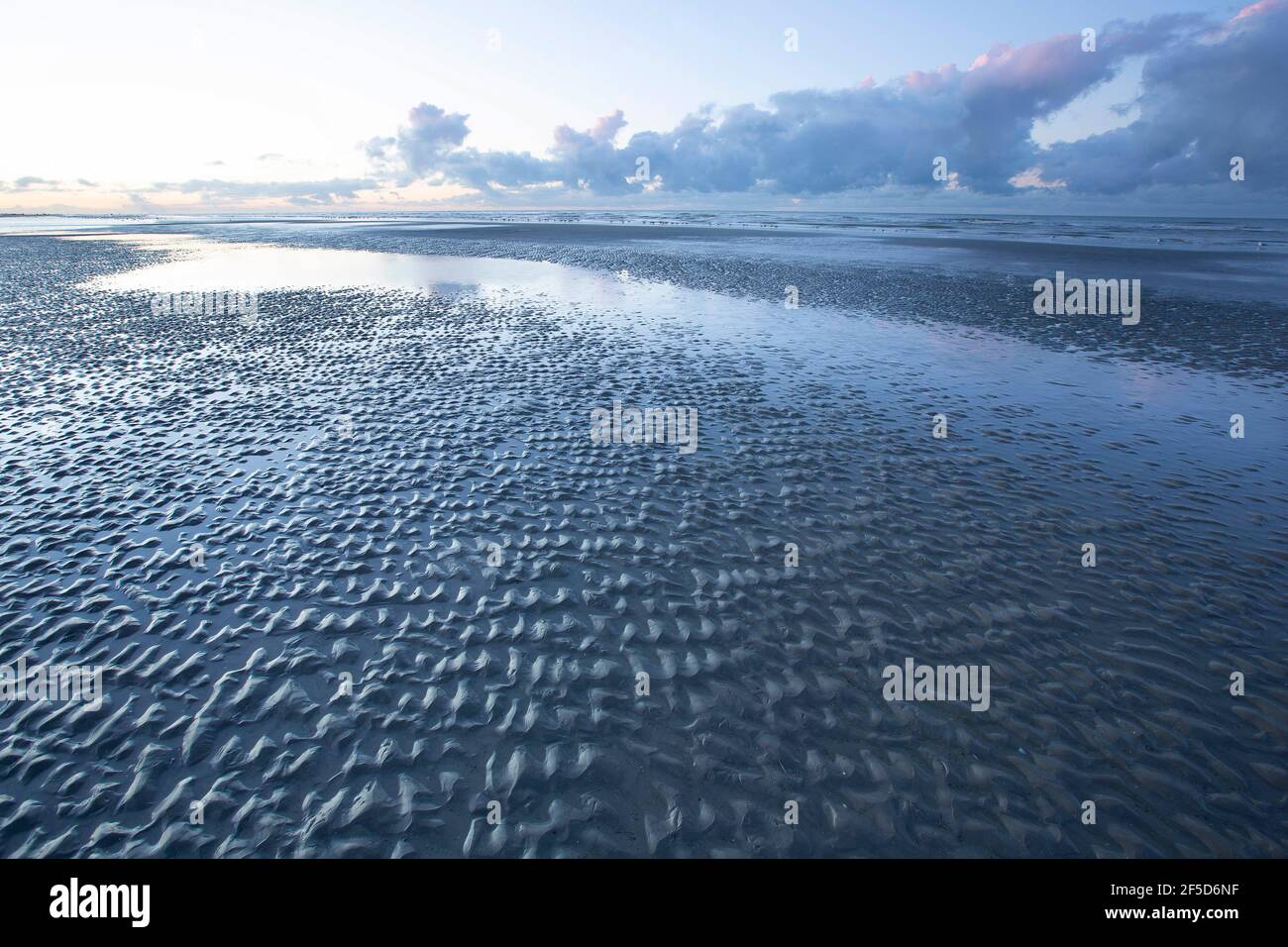 beach at North Sea at low tide, Belgium, West Flanders, Nieuwpoort Stock Photo
