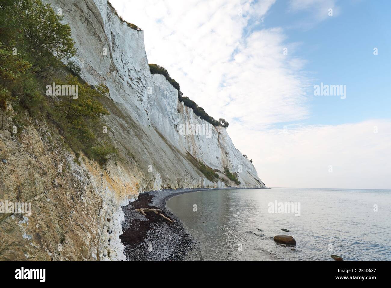 chalk cliff Mons Klint, vista from the coast of the Baltic Sea, Denmark, Borre Mon Stock Photo