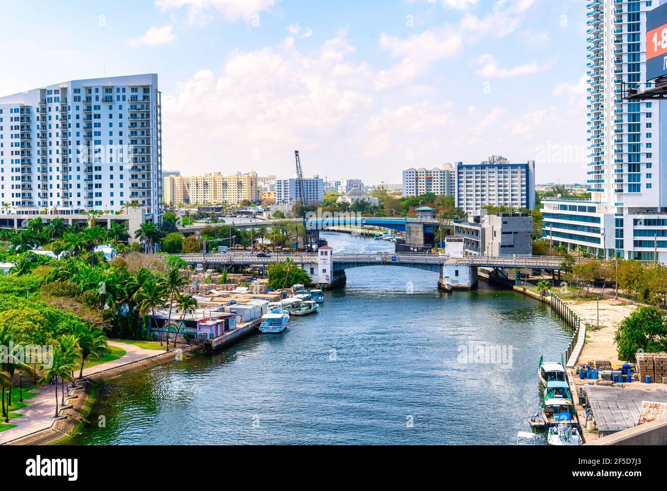Scene of Miami city, Florida, USA Stock Photo - Alamy