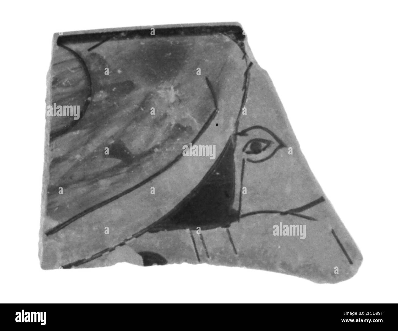 Attic RedFigure Vase Fragment. Unknown Stock Photo Alamy