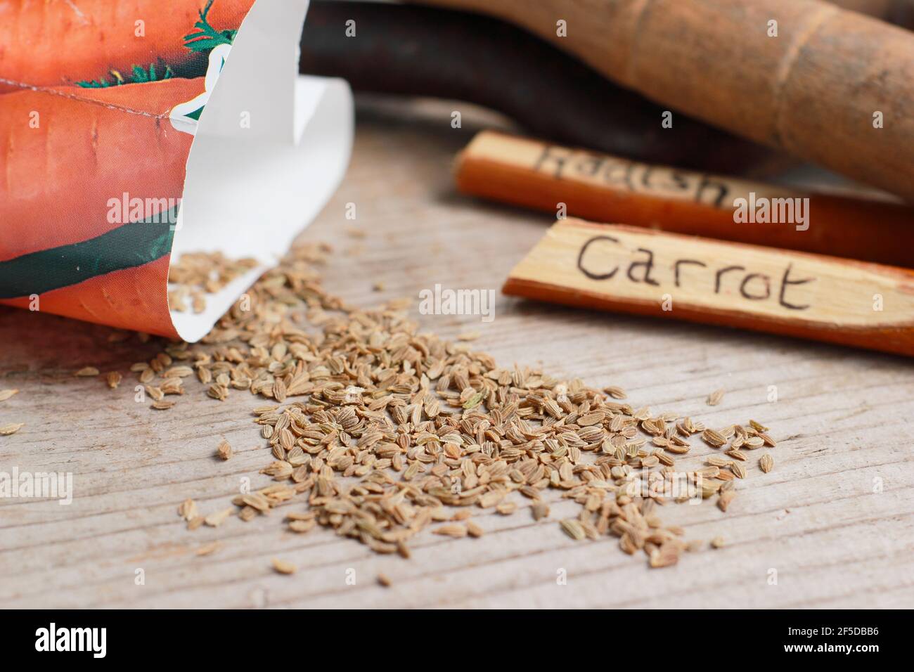 Carrot seed envelope hires stock photography and images Alamy
