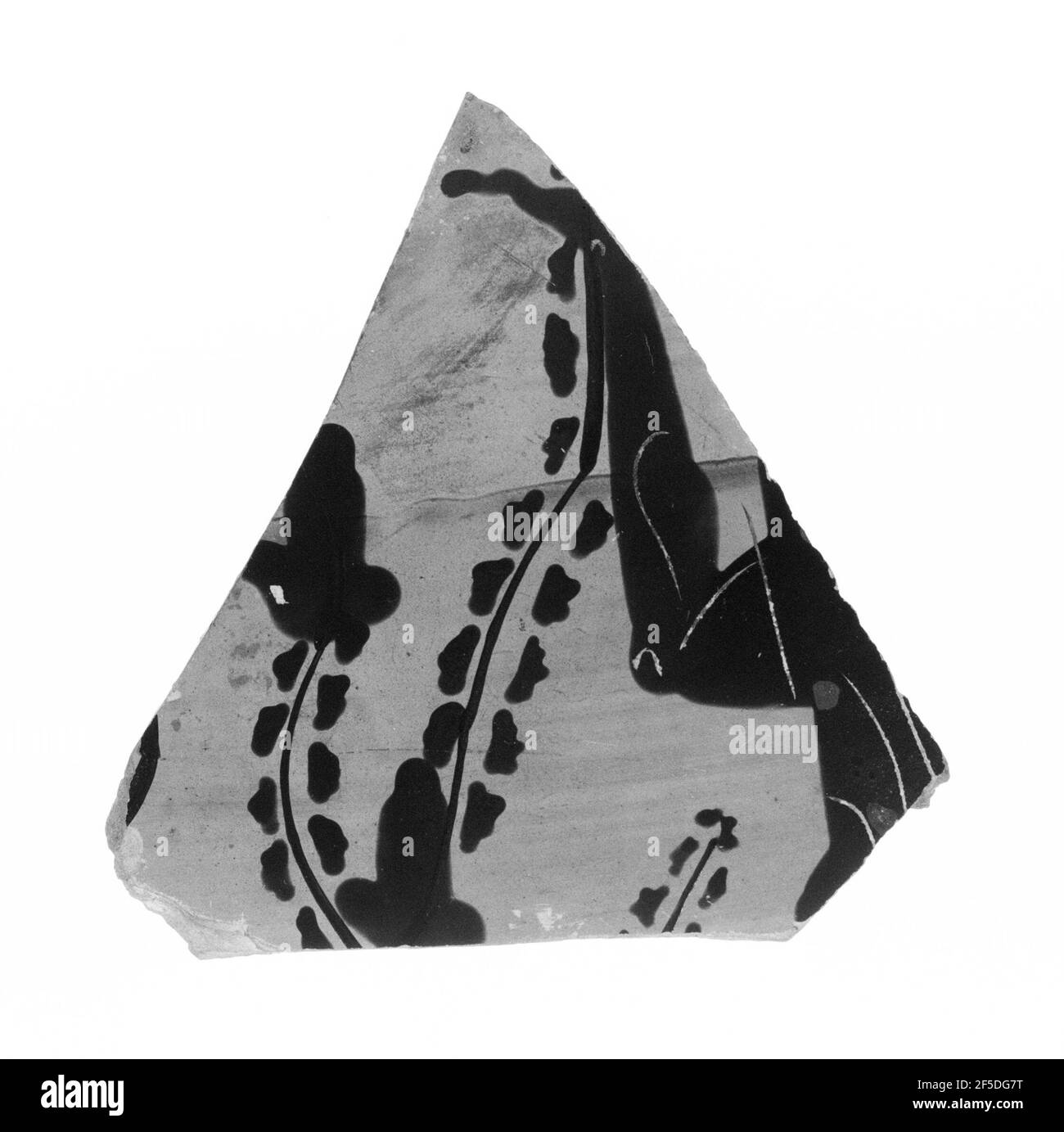 Attic BlackFigure Calyx Krater Fragment. Rycroft Painter (Greek (Attic