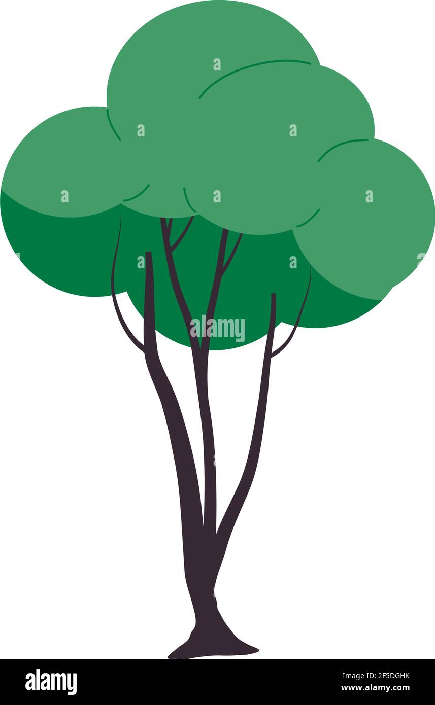 tree nature plant forest icon Stock Vector Image & Art - Alamy