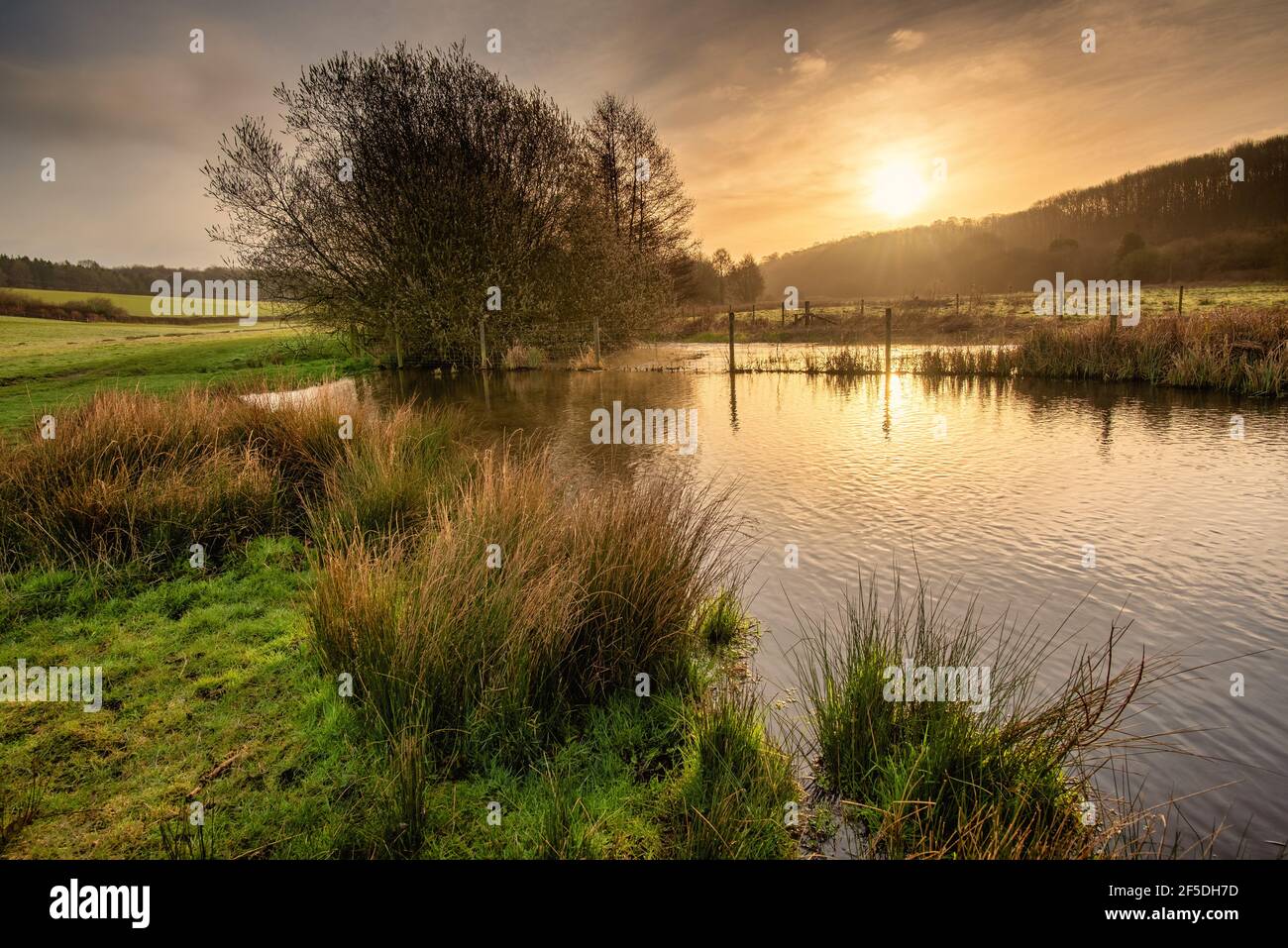Sunrise over the River Chess in Latimer near Chesham, The Chilterns AONB, England Stock Photo