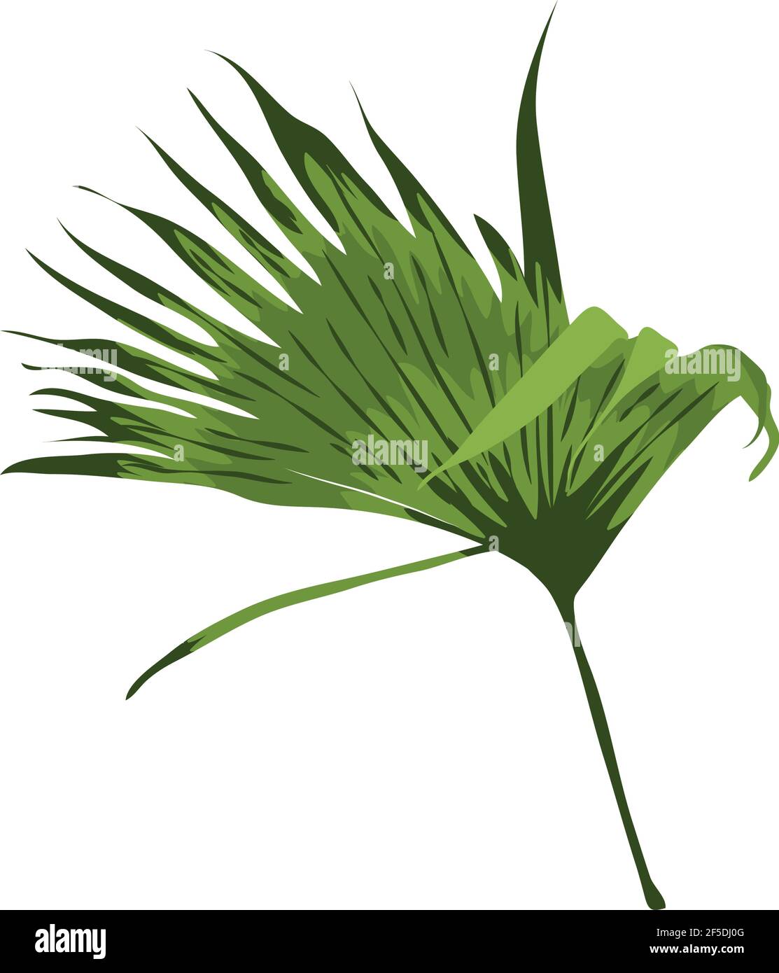Palm Leave Decoration Stock Vector Images Alamy