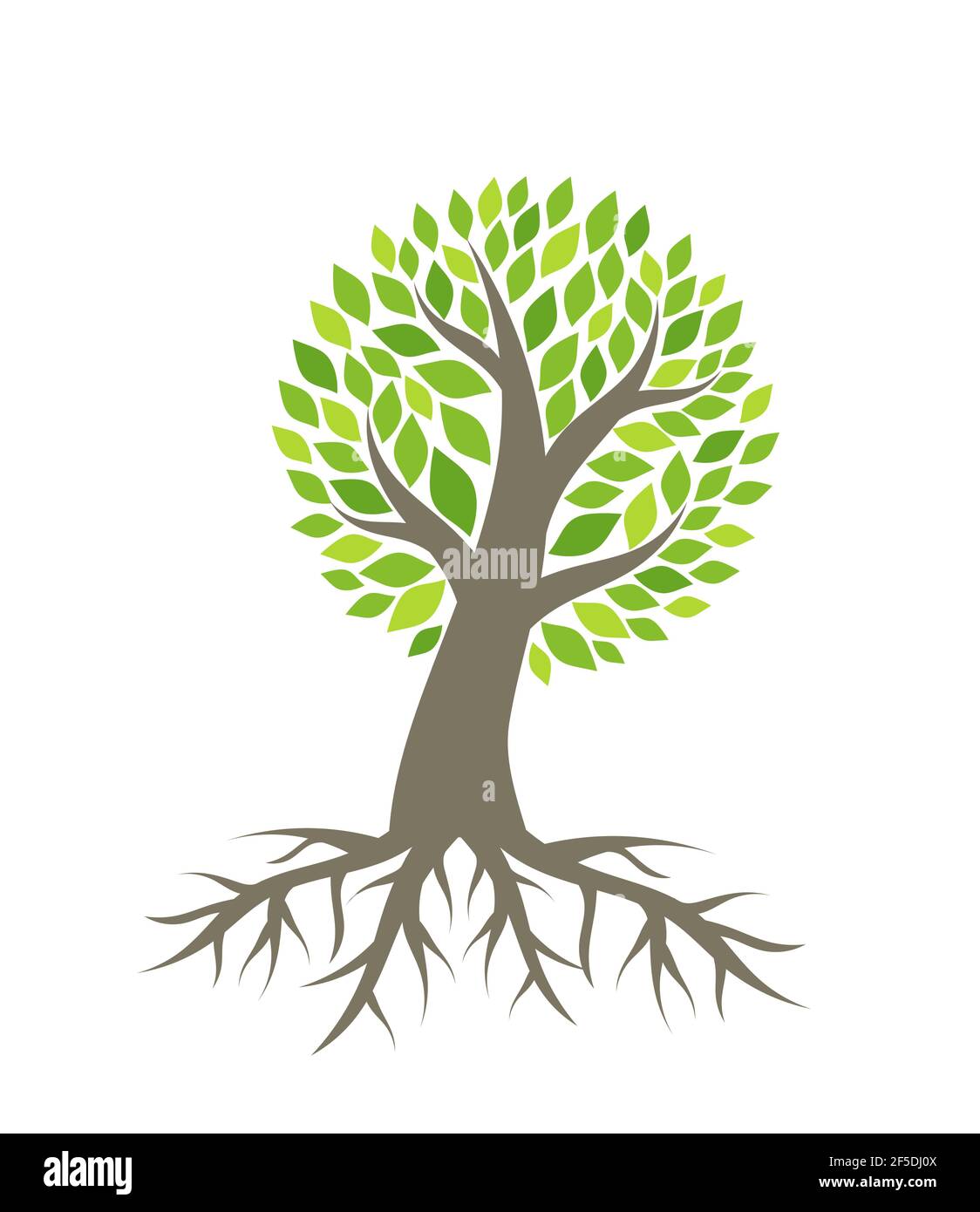 Tree with roots vector illustration Stock Vector Image & Art - Alamy