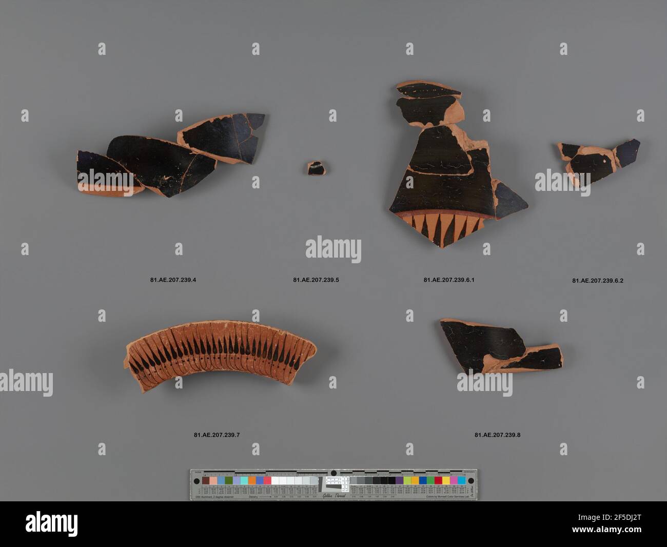 Attic BlackFigure Column Krater Fragment. Unknown Stock Photo Alamy