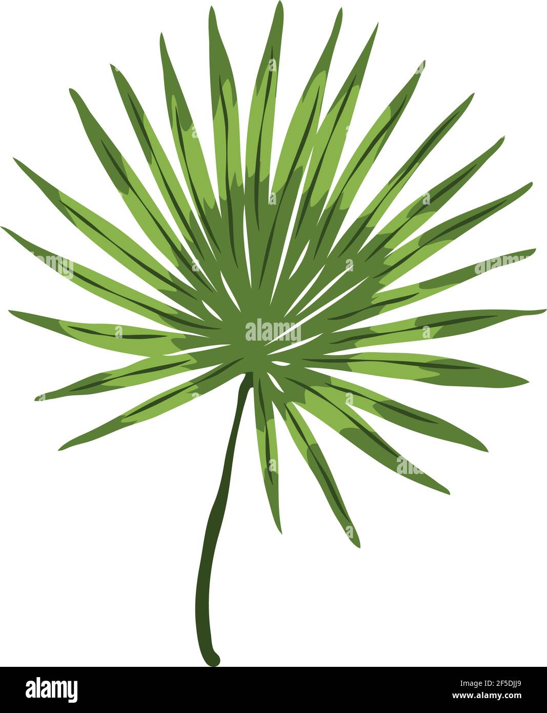 leaf palm exotic tropical icon Stock Vector Image & Art - Alamy