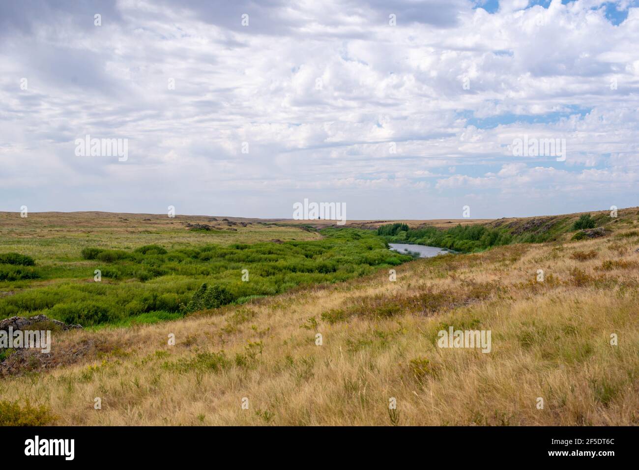 river bed cloudy sky dry yellow grass Stock Photo