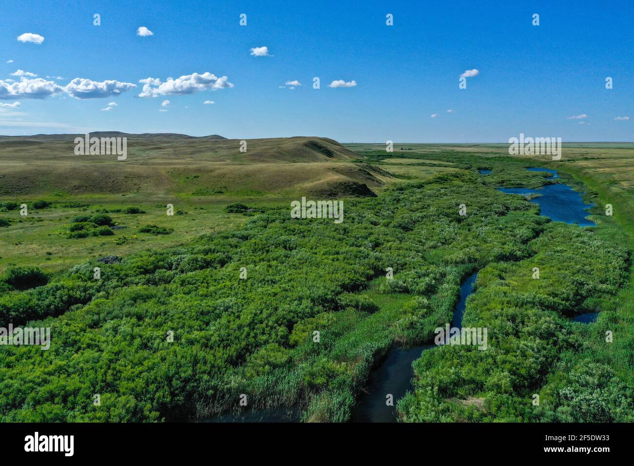 riverbed green field with blue sky and clouds Stock Photo