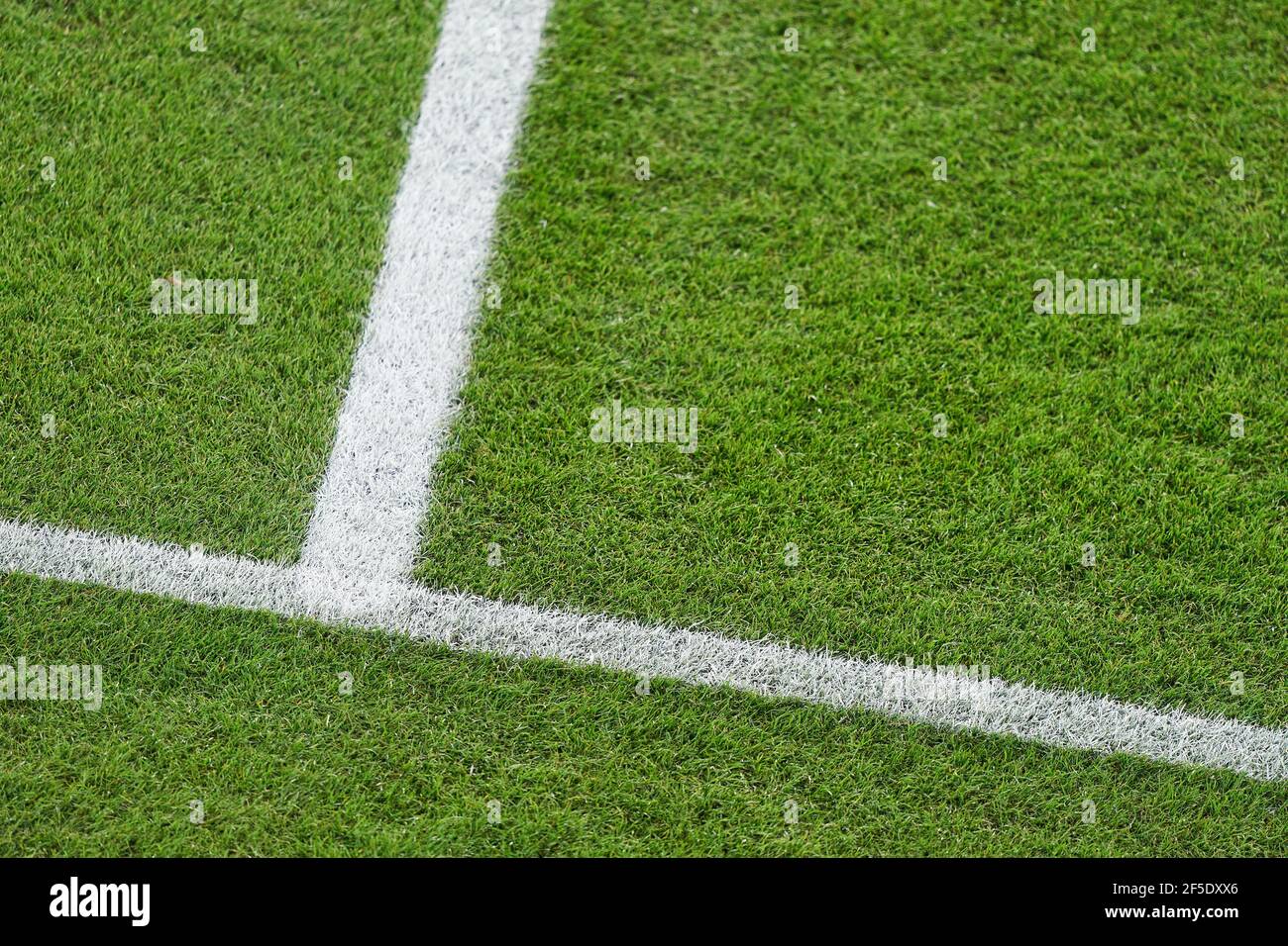 Symbol, Illustration, Feature, Symbolfoto, Schmuckbild, Themenbild, lines, Mittellinie, auf dem Rasen, Spielfeld, Gras, Gruen, Fussballrasen,  in the match GERMANY - ICELAND 3-0 Deutschland - ISLAND 3-0 Qualification for World Championships, WM Quali, Season 2020/2021,  March 25, 2021  in Duisburg, Germany.  © Peter Schatz / Alamy Live News  Important: DFB regulations prohibit any use of photographs as image sequences and/or quasi-video. Stock Photo