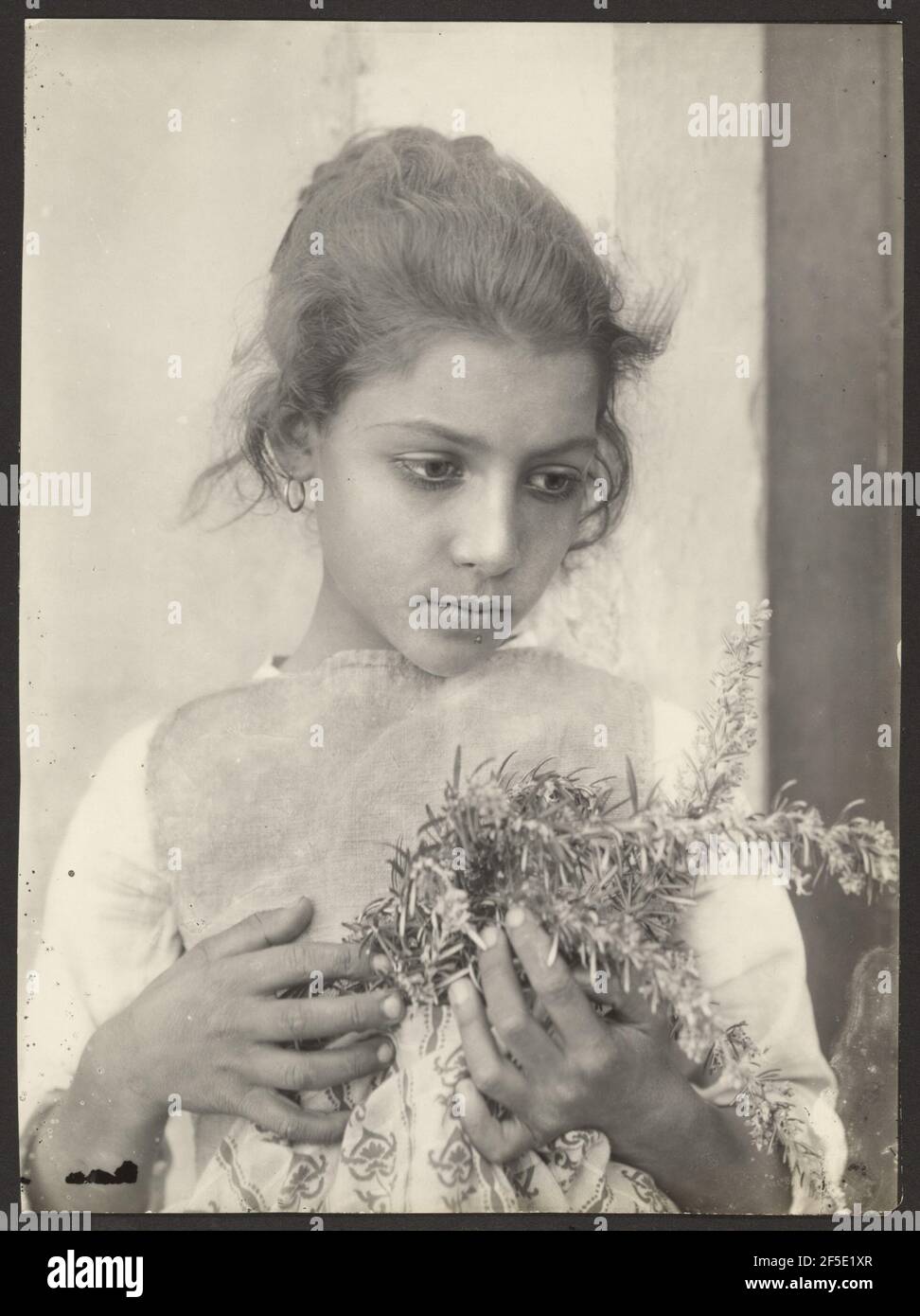 Girl with rosemary. Baron Wilhelm von Gloeden (German, 1856 - 1931) Stock Photo