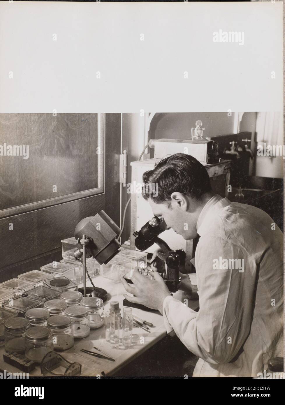 Man looks at a Petri dish through a microscope. Arnold Eagle (American ...