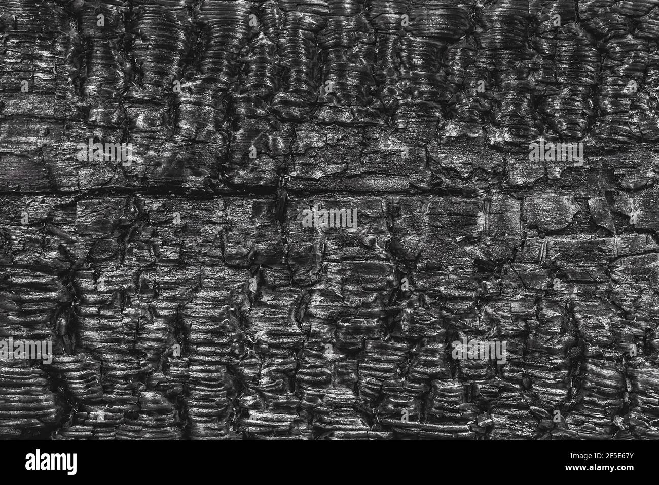 Burnt black wood texture, abstract pattern barbecue background. Stock Photo