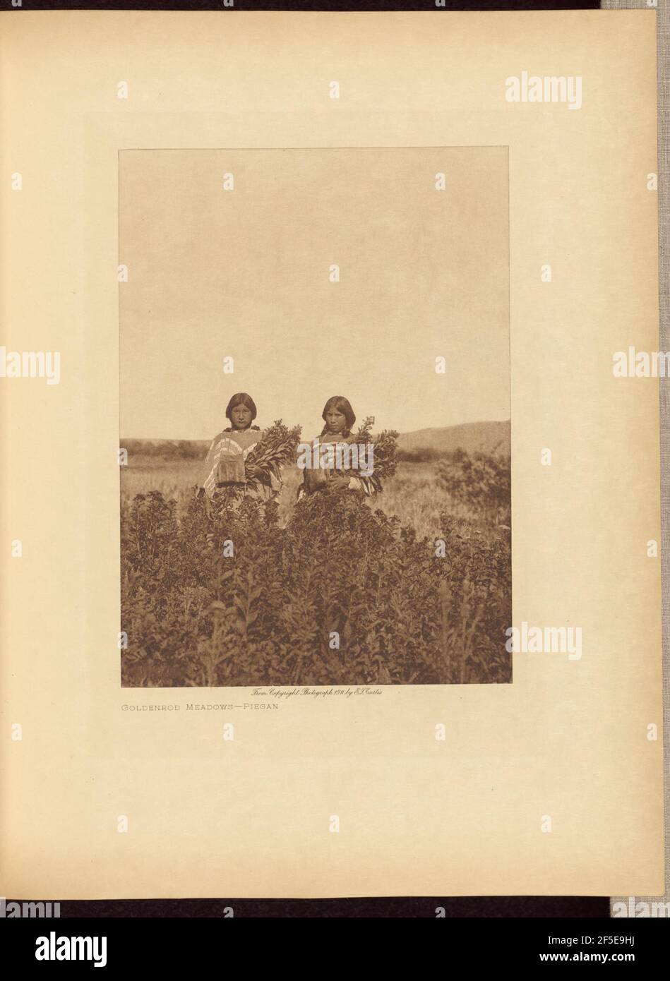Goldenrod Meadows Piegan. Edward S. Curtis (American, 1868 1952