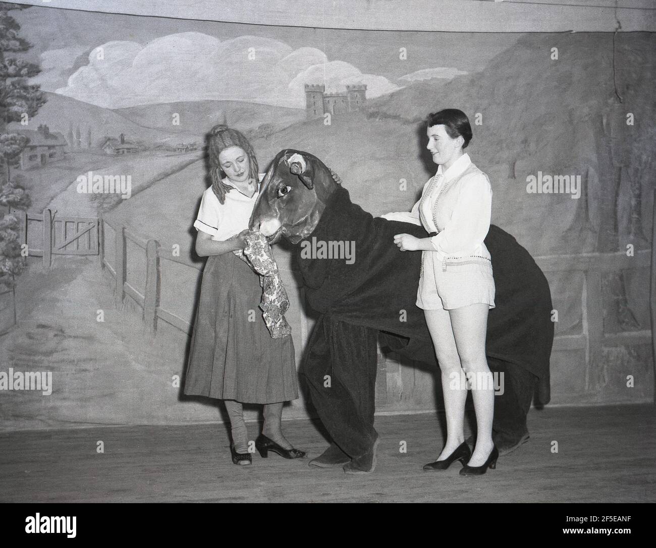 1956, on a stage, two young ladies in the costumes of their characters  with two people inside a cow costume in the pantomime, Jack and the Beanstalk. An ancient folk story, it was first published as an English fairy tale, 'The Story of Jack Spriggins and the Enchanted Bean' in 1734 and then in 1807 in 'The History of Jack and the Bean-Stalk' by Benjamin Tabert.  Fairy tales are ancient folklore, featuriing mythical creatures; elves, fairies, talking animals, witches and giants in magical stories that are far-fetched and not true and indeed could not possiblly be true. Stock Photo