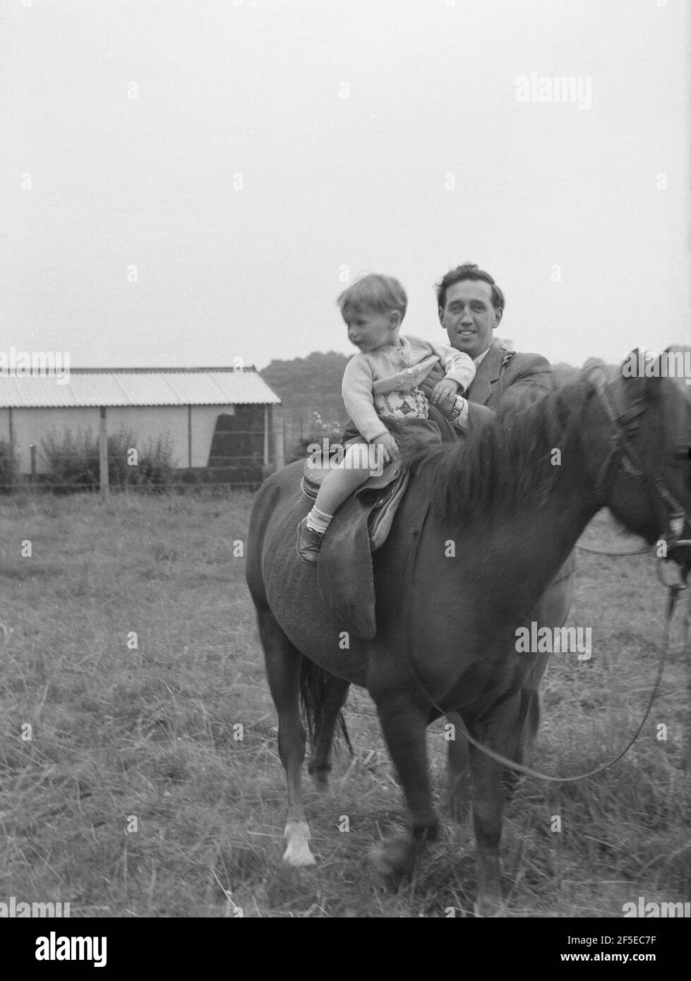 1950, historical, on a field at a farm, a little boy being put on the saddle of a horse by his father, the child having his first experience of sitting on the large animal, England, UK. Stock Photo