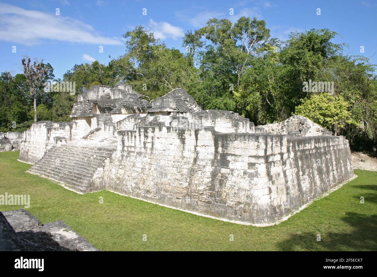 Tikal Guatemala,Ruin of an ancient city of the pre-Columbian Maya civilization in the Petén Basin. Stock Photo