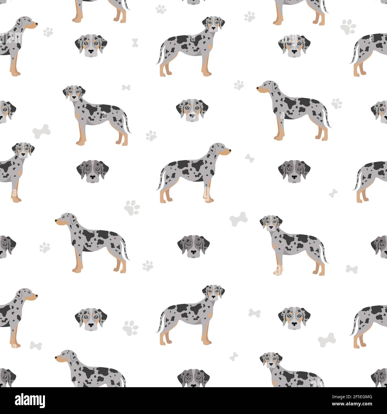Catahoula leopard dog seamless pattern. Different poses, coat colors