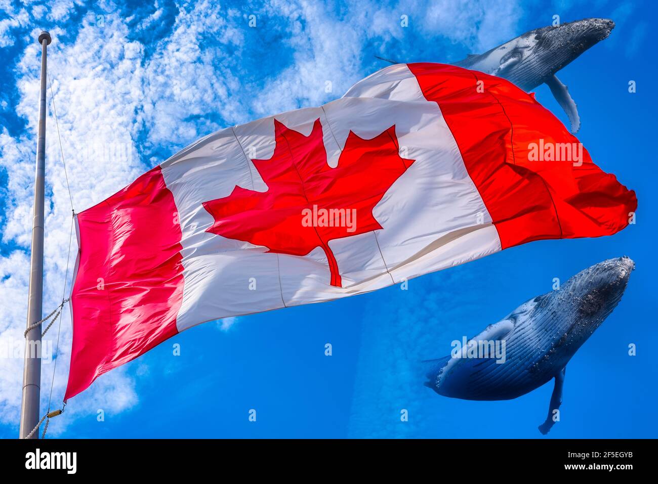 Canadian flag at half-staff in mourning for the Toronto Van Attack victims. The practice is a sign of national mourning triggered by important events. Stock Photo