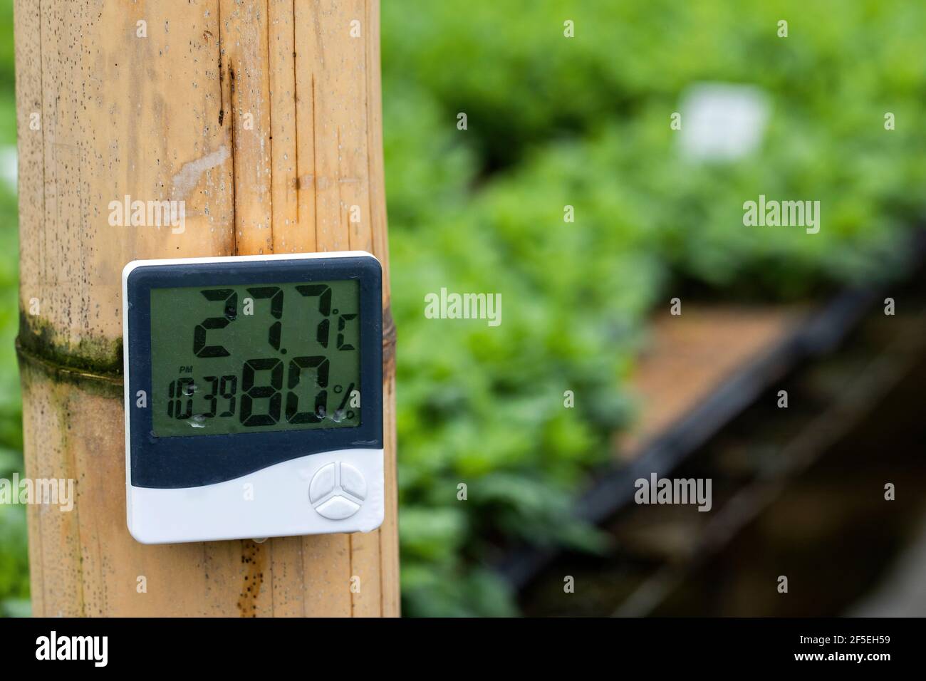 Thermohygrometer instrument for measuring temperature and relative