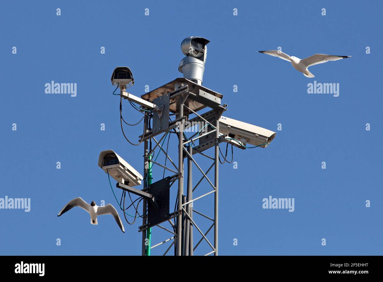 Stockholm, Sweden - March 25, 2021: Surveillance system with four cameras mounted high up with sea gulls flying around it. Illustrating the surveillan Stock Photo