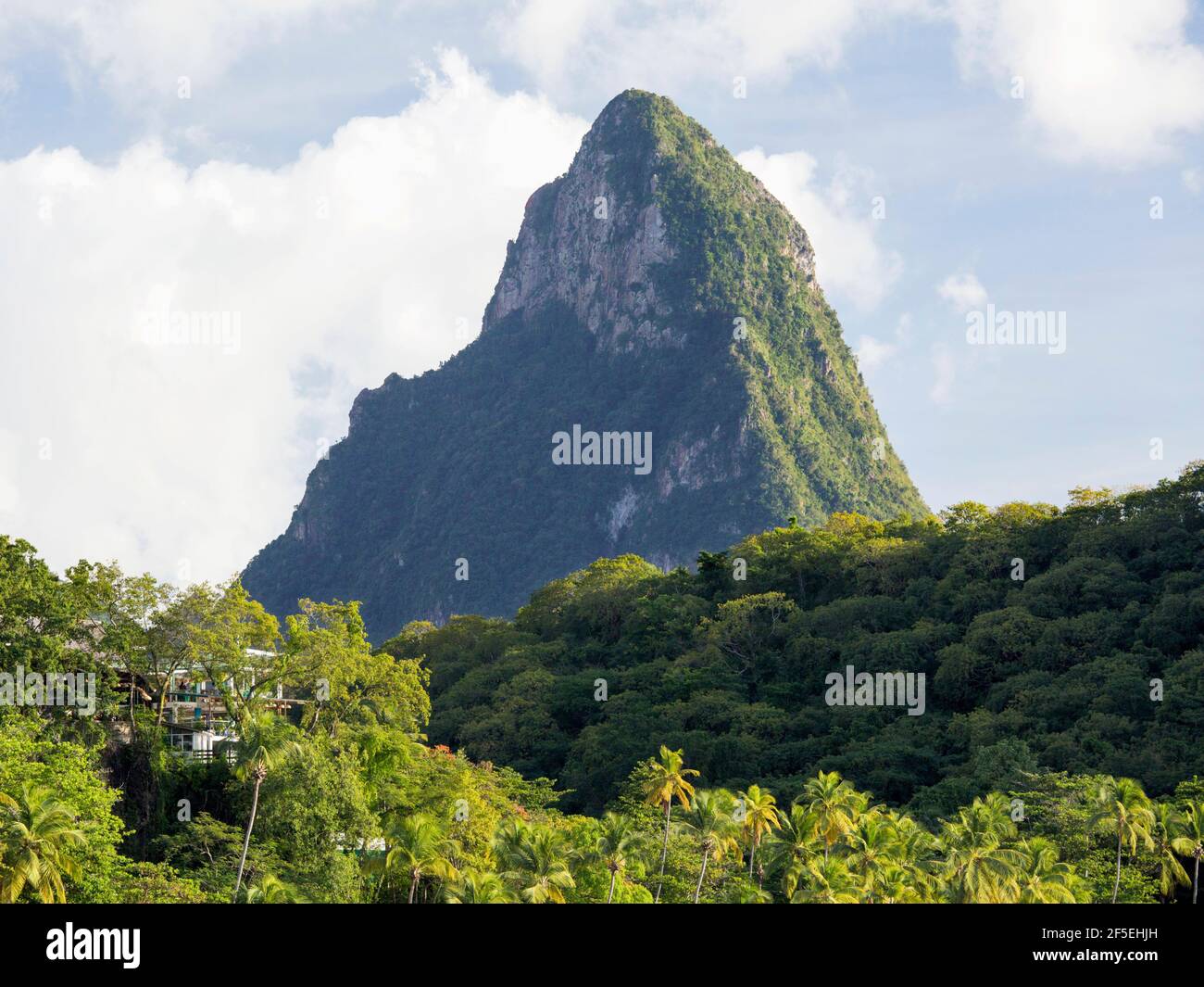 Soufriere, St Lucia. View from Anse Chastanet across rainforest canopy to the summit of Petit Piton, sunset. Stock Photo