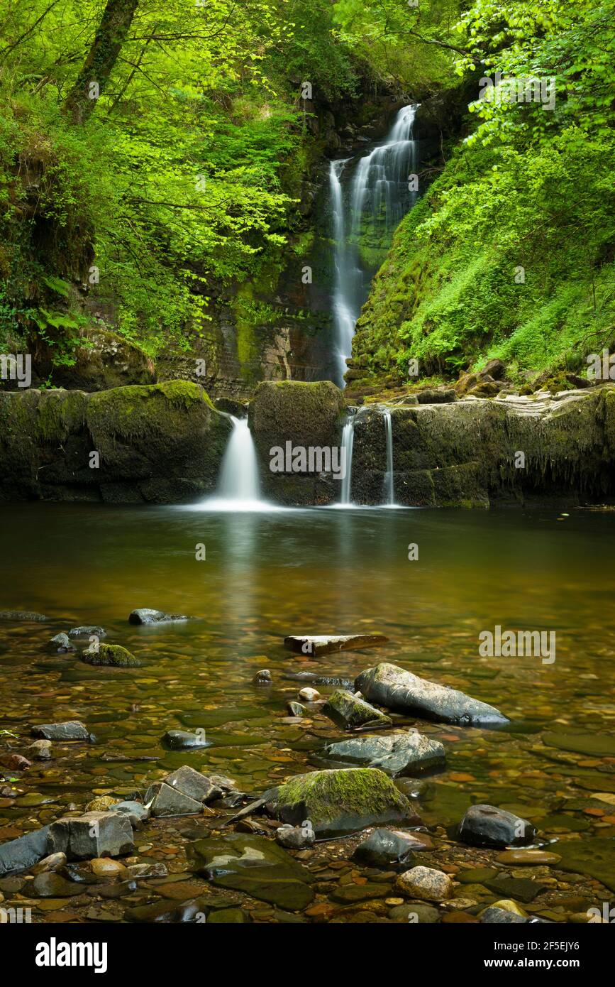 The Sgwd Einion Gam waterfall on the River Pyrddin in the Bannau Brycheiniog (Brecon Beacons) National Park, Powys, Wales. Stock Photo