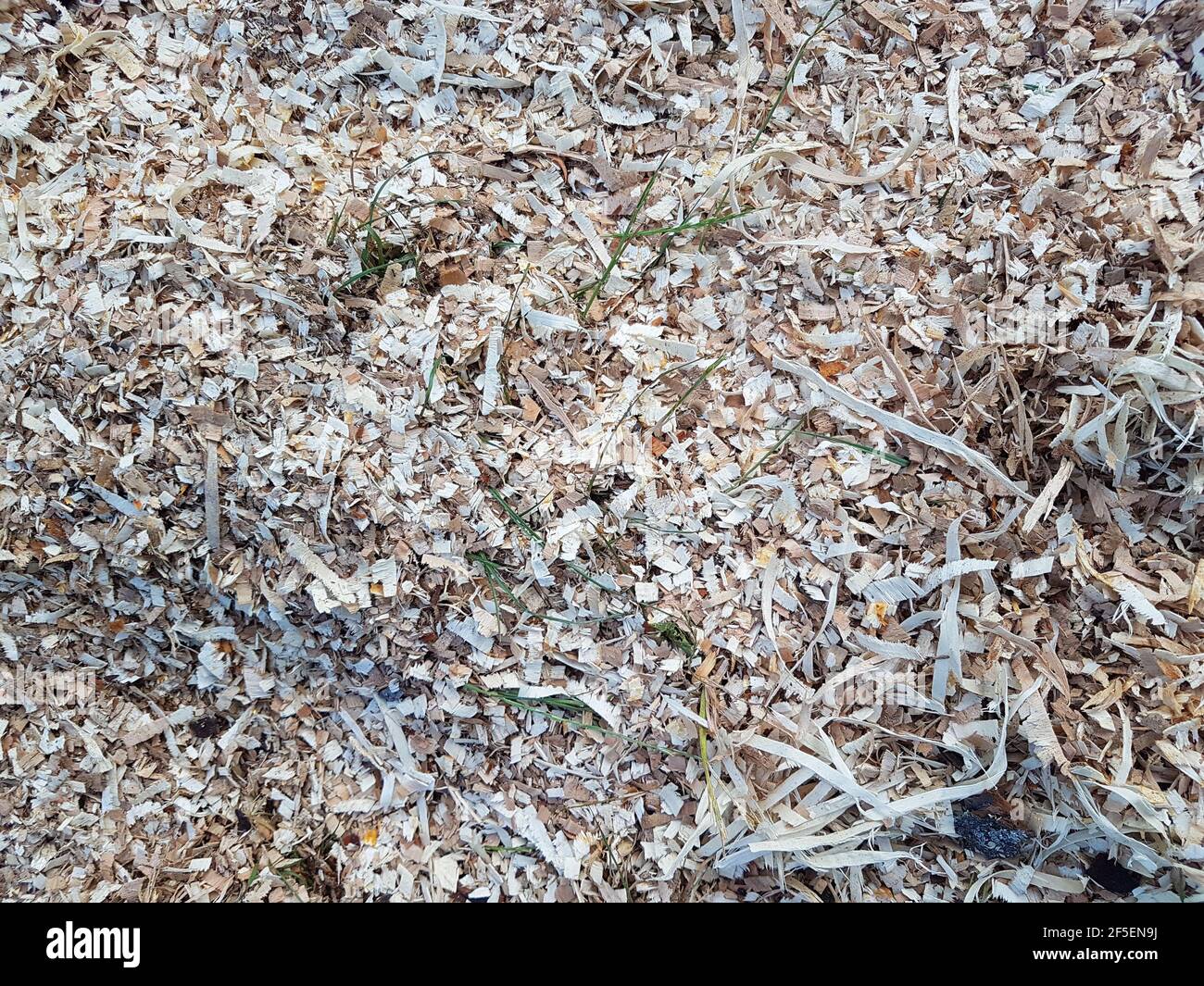 Wood shavings and chips texture closeup Stock Photo - Alamy
