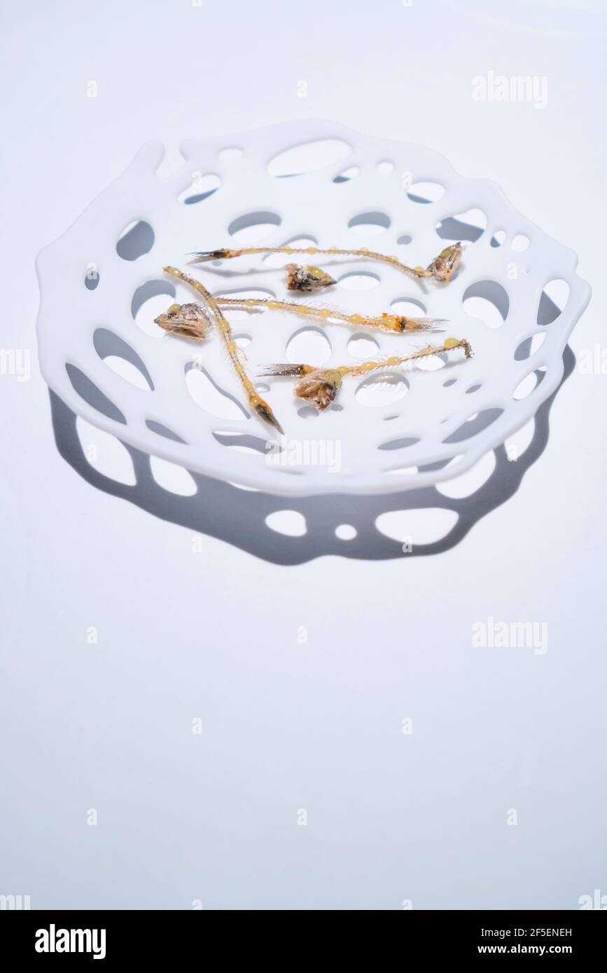 Michelin star restaurant tarragona hires stock photography and images