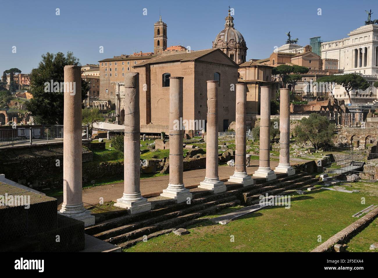 Italy, Rome, Roman Forum, Foro della Pace (Forum of Peace), columns of the Temple of Peace Stock Photo