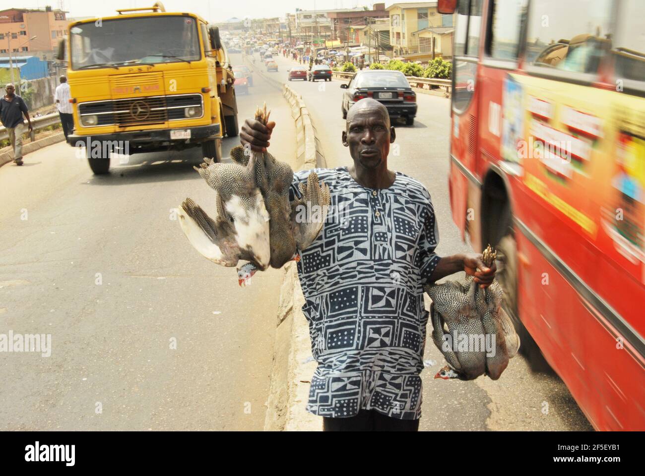 15. Lagos Metro: A man selling guineafowls along Lagos Road, Nigeria. Stock Photo