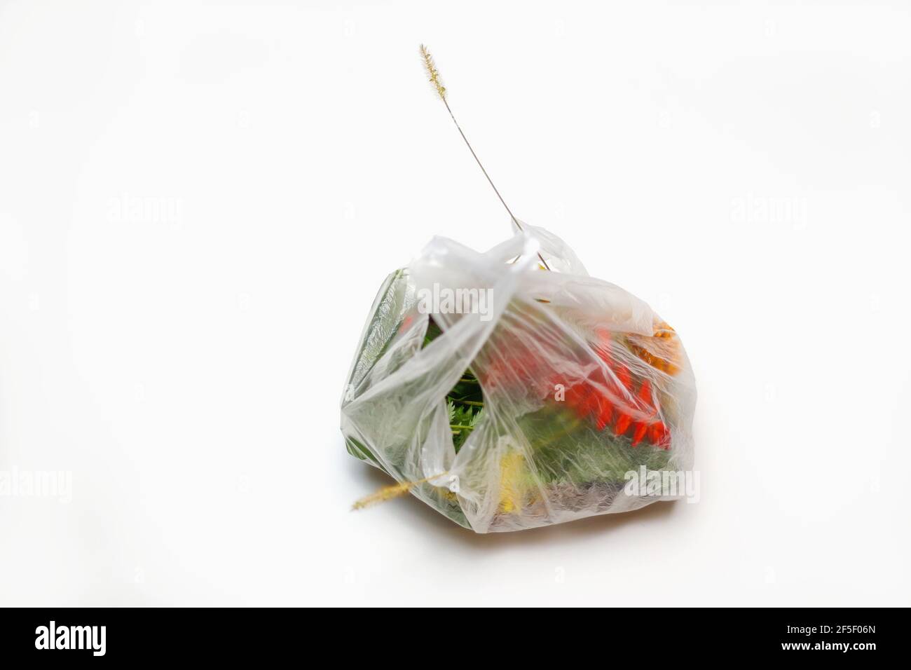 Download Bio Plastic Bag High Resolution Stock Photography And Images Alamy