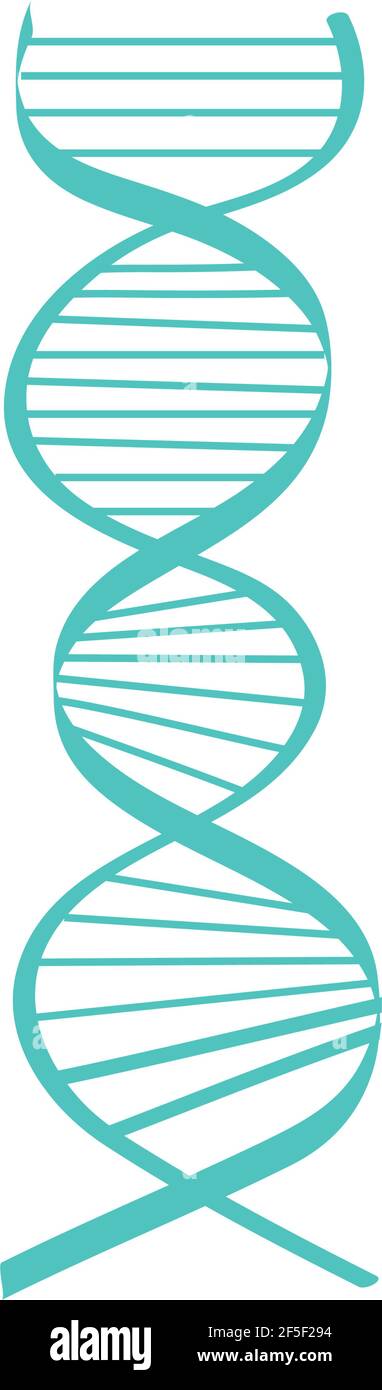 dna molecule structure Stock Vector Image & Art - Alamy