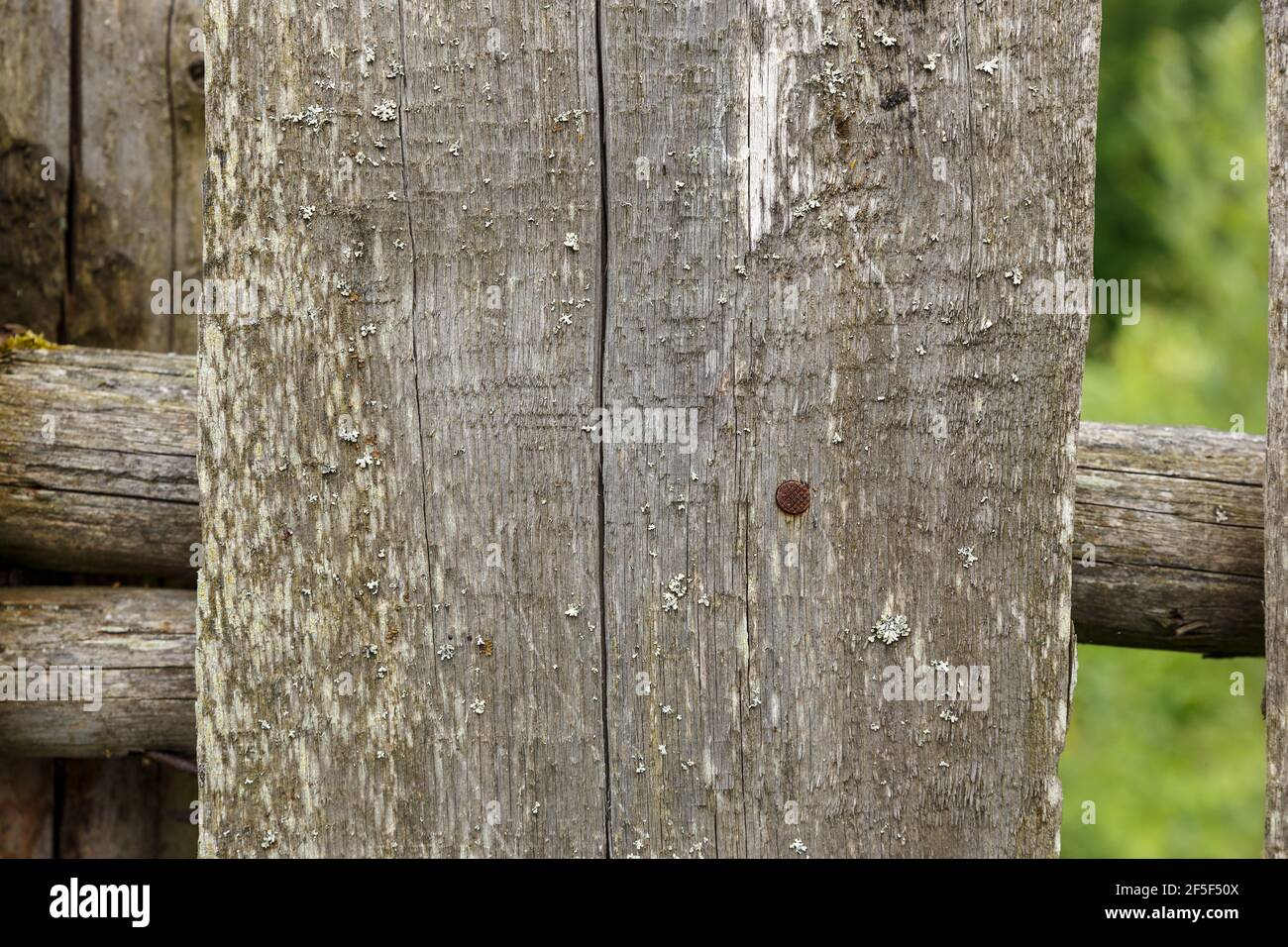 Wooden fence. Old board with a nail. Wood texture Stock Photo Alamy