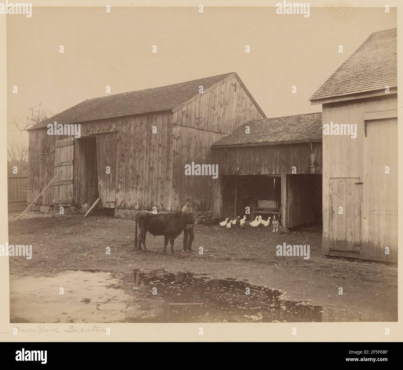 Farm life 1800s america hi-res stock photography and images - Alamy