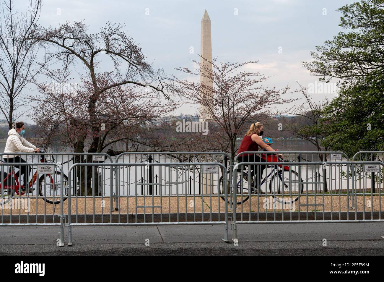 March 25, 2021. Washington DC's Cherry Trees reach 4th of 6 th bloom stages. The national park service will limit the public access to the Tidal Basin during the peak season if the crowds get too big. People wearing masks ride bikes by the tidal basin before the possible closure starting from this weekend. (Photo by Mihoko Owada/ Credit: Sipa USA/Alamy Live News Stock Photo