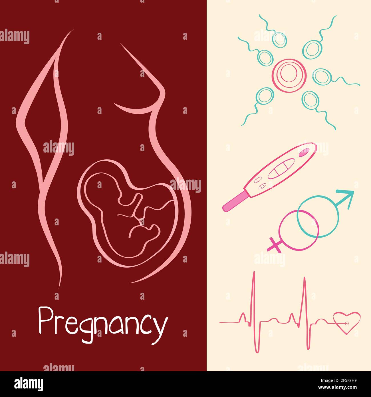 pregnancy five icons Stock Vector