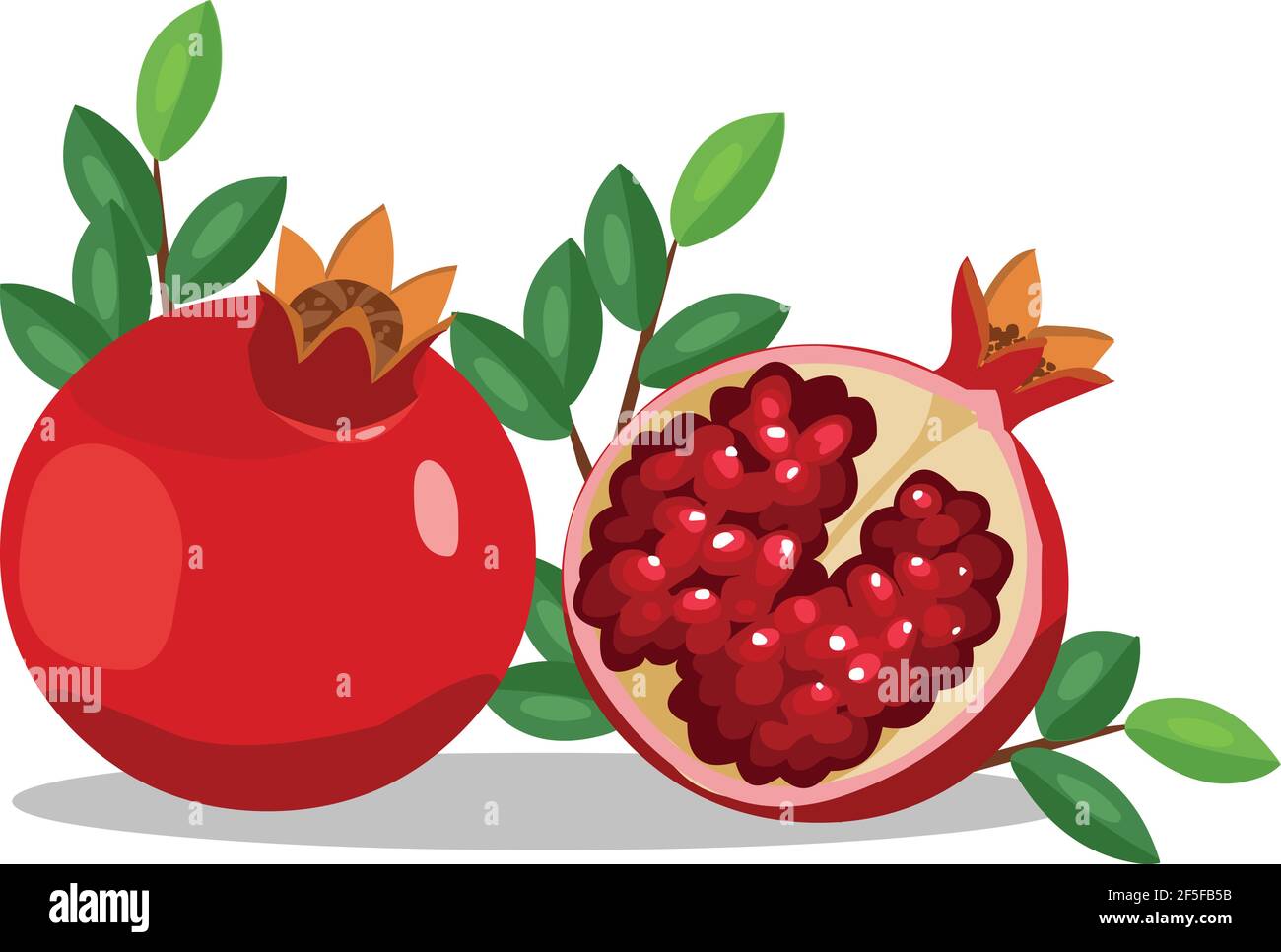Pomegranate fruit illustration with leaf vector isolated Stock Vector