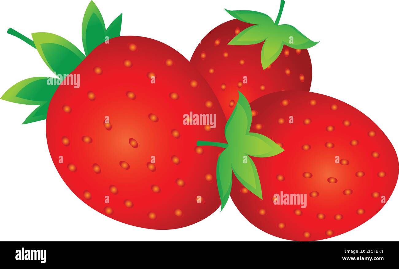 Strawberry Vector illustration isolated on white background Stock ...