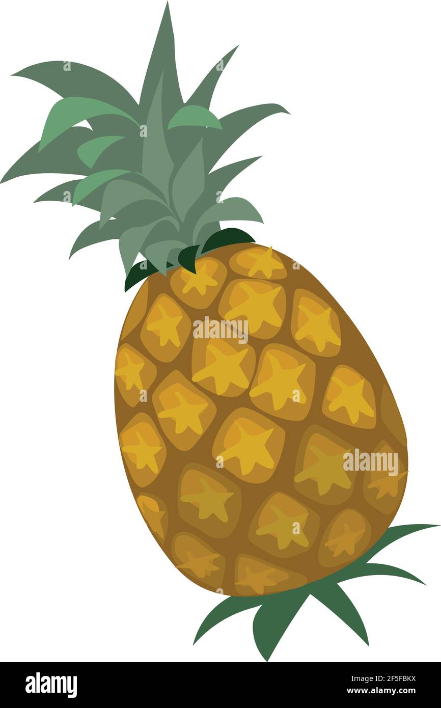 Pineapple vector illustration isolated on white background Stock Vector