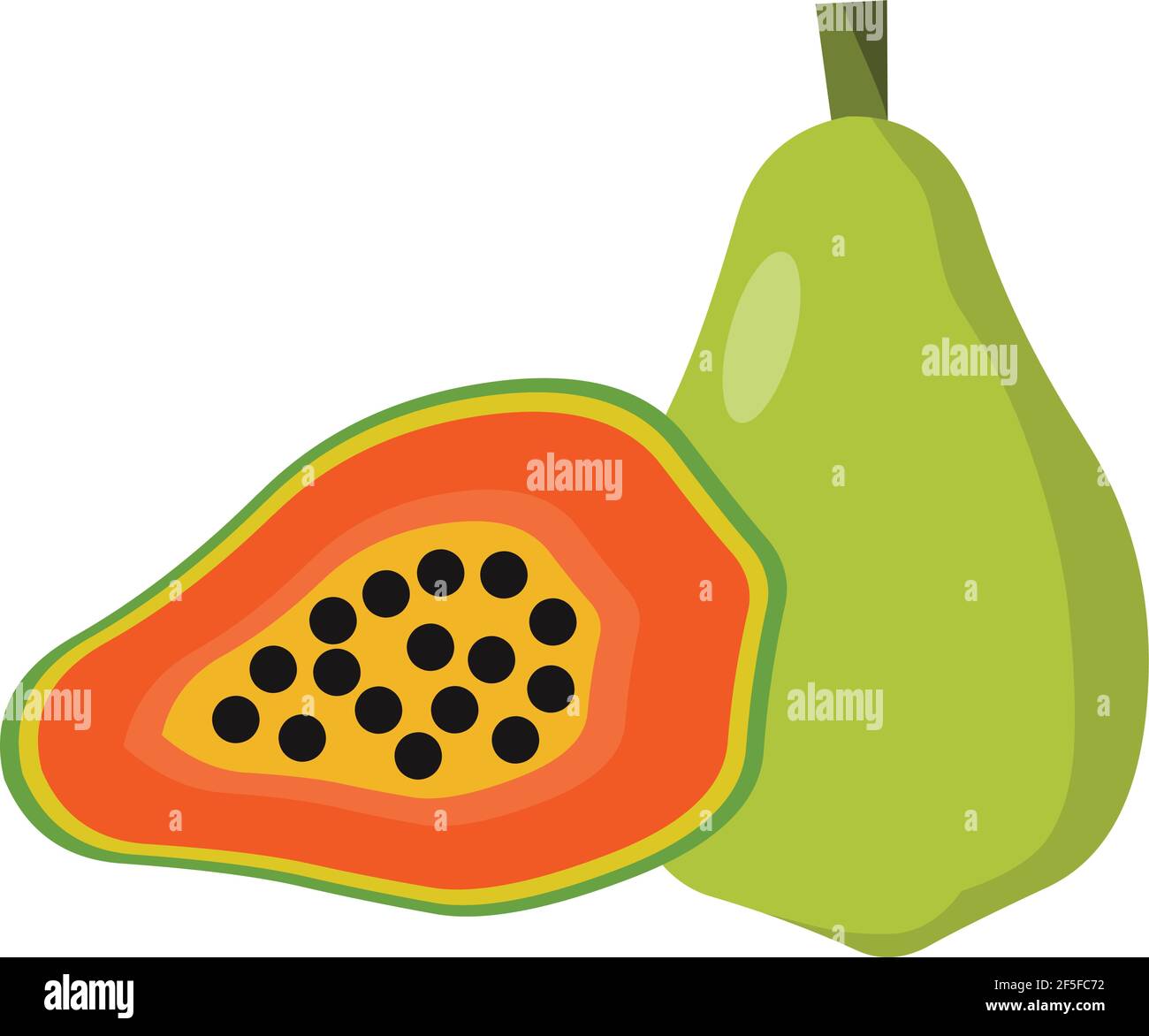 Papaya illustration logo icon vector isolated on white background Stock