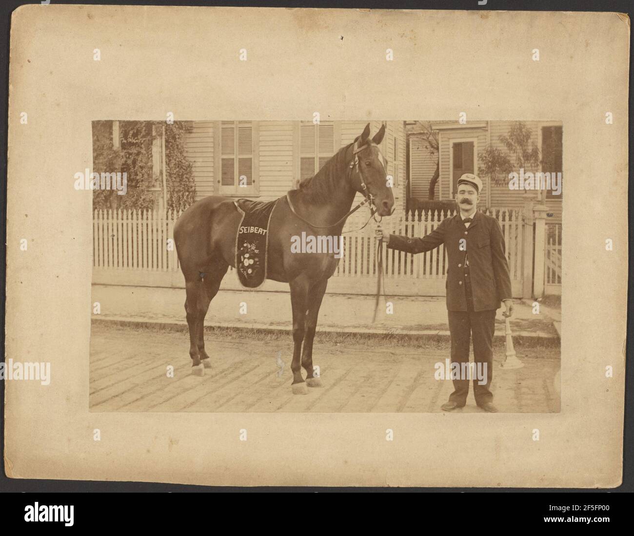 Original Rider Fireman Firefighting horse hi-res stock photography and images - Alamy
