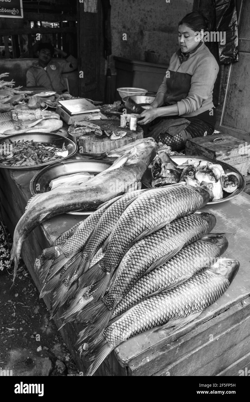 A Local Burmese Woman Selling Fresh Fish In Mingalar Market, Nyaung