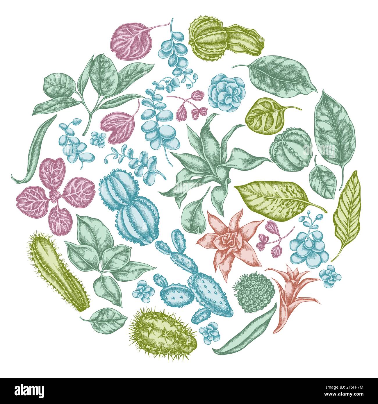 Round floral design with pastel ficus, iresine, kalanchoe, calathea, guzmania, cactus Stock Vector
