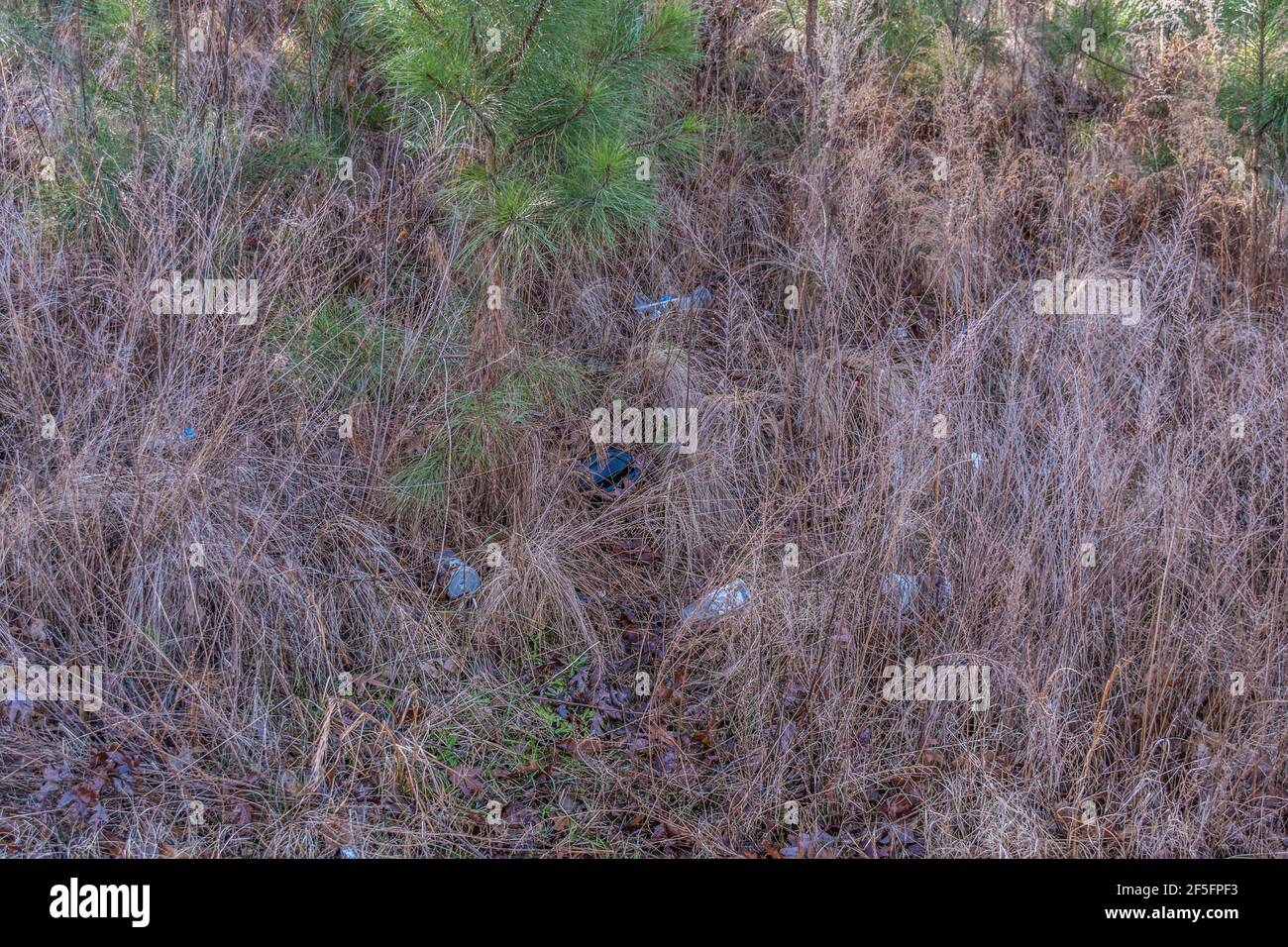 Lots of plastic styrofoam cups with lids and straws and aluminum cans and food wrappers tossed in the weeds and tall grasses on the ground alongside t Stock Photo