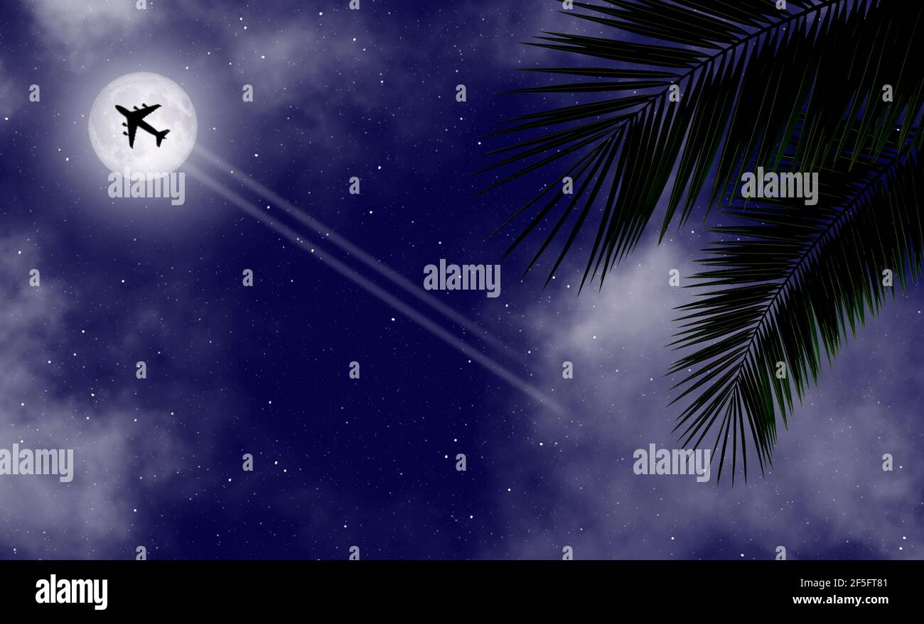 Tropical night banner background. Tropical palm leaves and and a flying  plane on the blue night sky on the island. . High quality photo Stock Photo  - Alamy