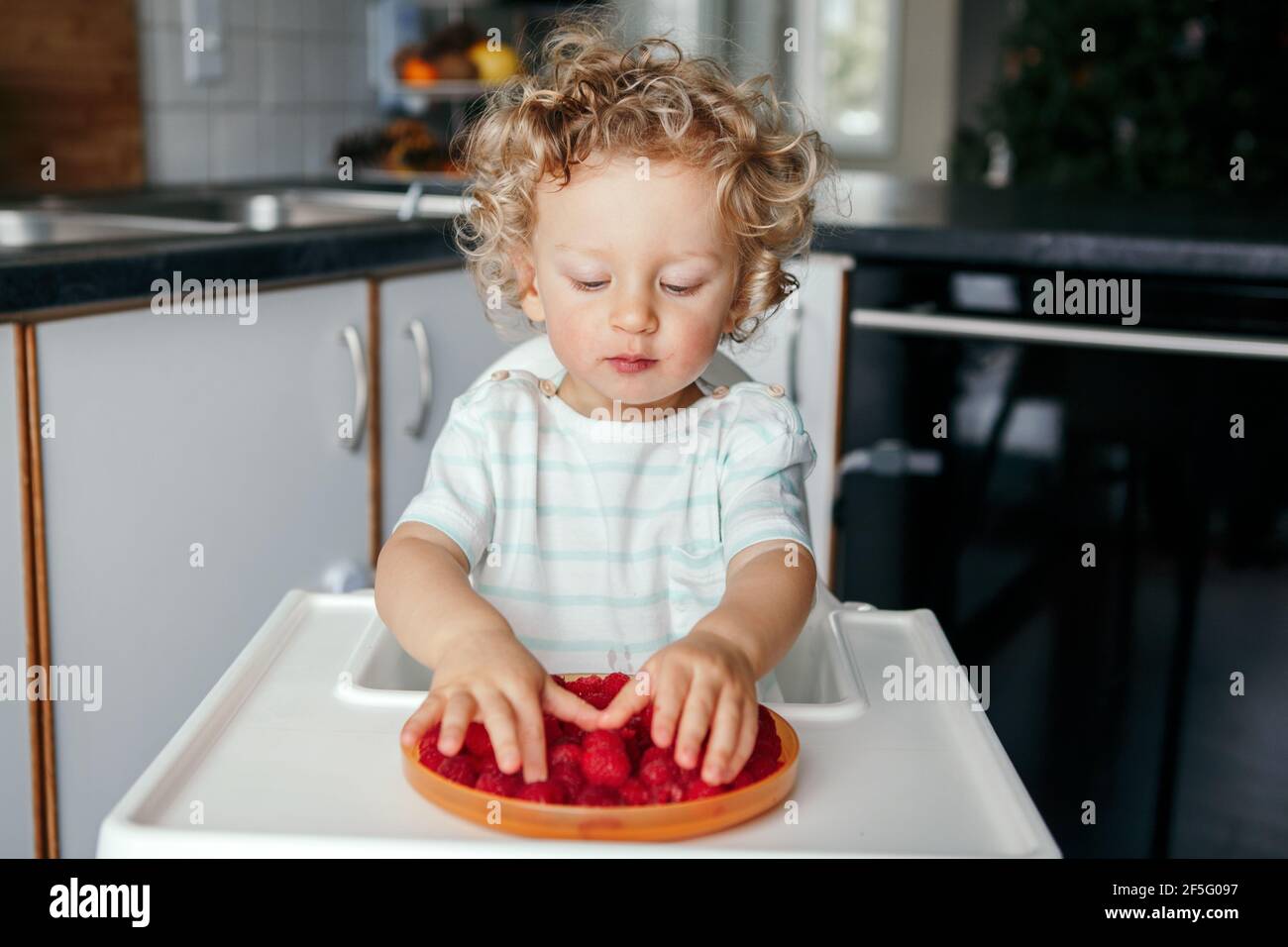 Healthy eating. Cute Caucasian baby boy eating ripe red fruits at home. Funny child kid sitting high chair with fresh berries in kitchen. Supplementar Stock Photo