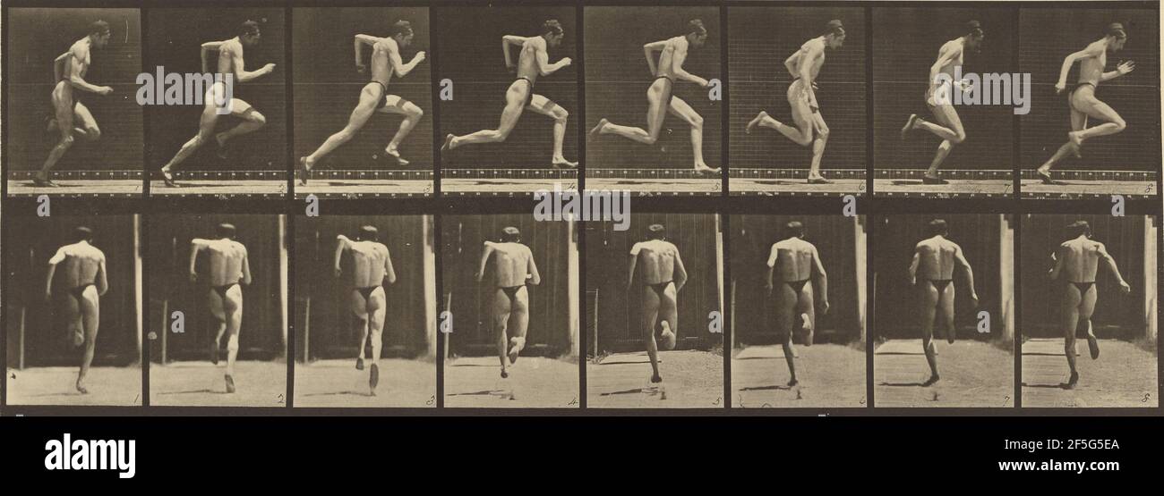 Animal Locomotion Eadweard J Muybridge American Born England 1830 Animal Locomotion Eadweard J Muybridge American Born England 1830
